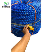 16mm Blue PP/Polypropylene/Plastic/PE/Fishing/Marine/Mooring/Twist/Twisted Danline Rope for Philippines